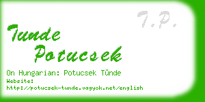 tunde potucsek business card
